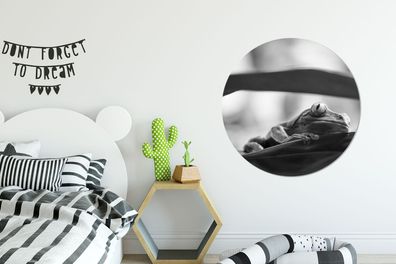 Runde Wandbilder - 90x90 cm - Frösche in der Natur von Costa Rica in schwarz und weiß