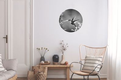 Runde Wandbilder - 30x30 cm - Lila gekrönte Waldnymphe im Nationalpark von Costa Rica