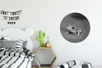 Runde Wandbilder - 60x60 cm - Rotaugenmakofrosch auf einem Blatt in Costa Rica in sch