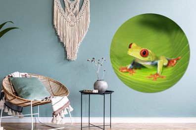 Runde Wandbilder - 140x140 cm - Rotäugiger Laubfrosch auf einem Blatt in Costa Rica
