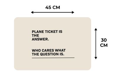 Placemats Vinyl - 6 stuks - 45x30 cm - Sprichwörter - Zitate - Flugticket ist die Ant