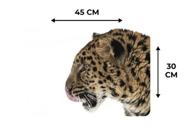 Placemats Vinyl - 6 stuks - 45x30 cm - Leopard - Schnee - Kopf (Gr. 45x30 cm)