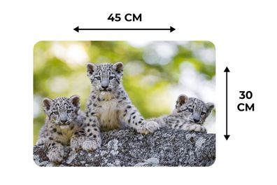 Placemats Vinyl - 6 stuks - 45x30 cm - Leopard - Jungtiere - Steine (Gr. 45x30 cm)