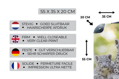 Koffer - 35x55 cm - Leopard - Jungtiere - Steine (Gr. 35x55x20 cm)