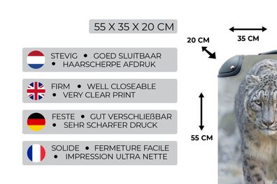 Koffer - 35x55 cm - Leopard - Steine - Spaziergang (Gr. 35x55x20 cm)