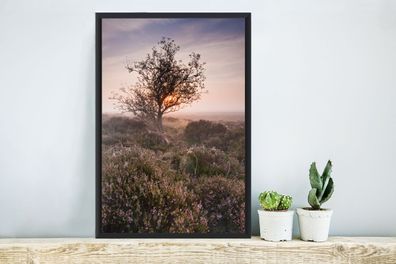 Poster - 40x60 cm - Die Heidelandschaft bei Sonnenaufgang (Gr. 40x60 cm)