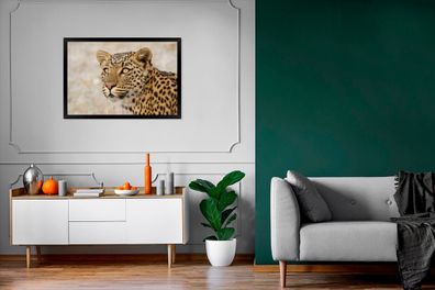 Poster - 90x60 cm - Leopard - Makro - Braun (Gr. 90x60 cm)