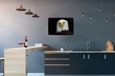 Poster - 60x40 cm - Adler - Schwarz - Weiß (Gr. 60x40 cm)