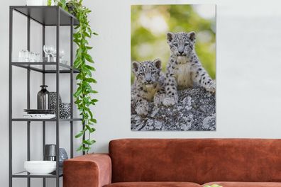 Leinwandbilder - 90x140 cm - Leopard - Jungtiere - Steine (Gr. 90x140 cm)