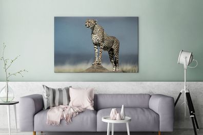 Leinwandbilder - 140x90 cm - Leopard - Steine - Wolken (Gr. 140x90 cm)