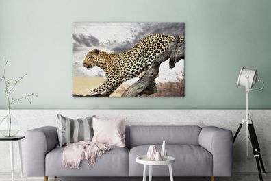 Leinwandbilder - 140x90 cm - Leopard - Wolken - Baum (Gr. 140x90 cm)