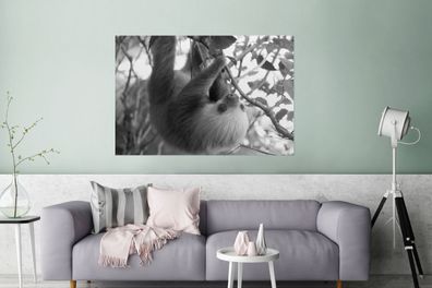 Glasbilder - 120x80 cm - Baby-Faultier im Regenwald von Costa Rica in schwarz und wei