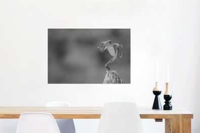 Glasbilder - 60x40 cm - Der Rotaugenlaubfrosch in Costa Rica in schwarz-weiß