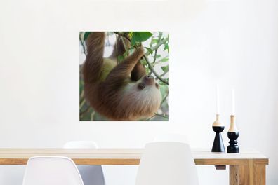 Glasbilder - 50x50 cm - Baby-Faultier im Regenwald von Costa Rica (Gr. 50x50 cm)