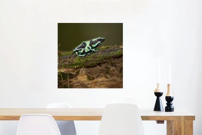 Glasbilder - 50x50 cm - Grüner Pfeilgiftfrosch auf einem Baumstamm in Costa Rica