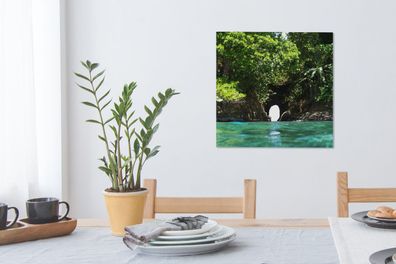 Leinwandbilder - 50x50 cm - Loch in der Wand in der Natur von Costa Rica