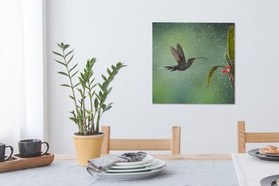 Leinwandbilder - 50x50 cm - Kolibri im Regen in der Natur von Costa Rica