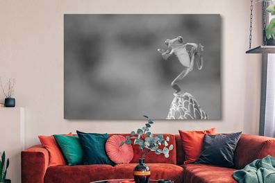 Leinwandbilder - 150x100 cm - Der Rotaugenlaubfrosch in Costa Rica in schwarz-weiß