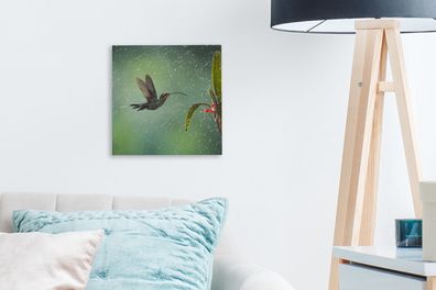 Leinwandbilder - 20x20 cm - Kolibri im Regen in der Natur von Costa Rica