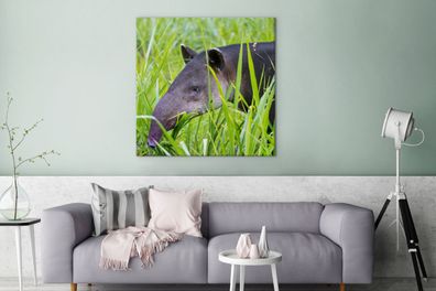 Leinwandbilder - 90x90 cm - Mittelamerikanischer Tapir im Nationalpark von Costa Rica