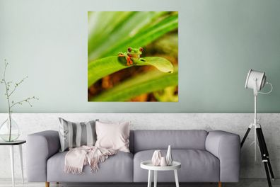 Glasbilder - 90x90 cm - Rotaugen-Makakenfrosch zwischen den Blättern in Costa Rica
