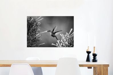 Leinwandbilder - 60x40 cm - Lila gekrönte Waldnymphe im Nationalpark von Costa Rica i