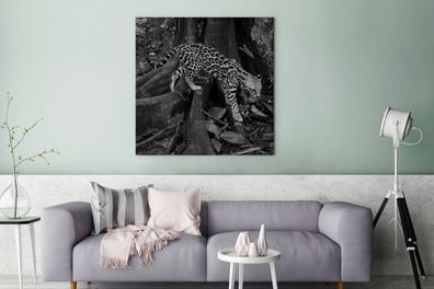 Leinwandbilder - 90x90 cm - Ozelot im Dschungel von Costa Rica in schwarz und weiß