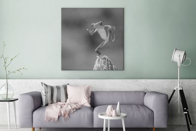 Leinwandbilder - 90x90 cm - Der Rotaugenlaubfrosch in Costa Rica in schwarz-weiß