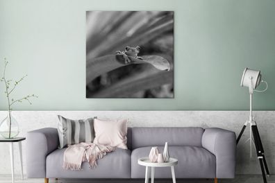 Leinwandbilder - 90x90 cm - Rotaugenmakak-Frosch zwischen den Blättern in Costa Rica