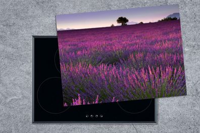 Herdabdeckplatte - 70x52 cm - Sonnenuntergang beleuchtet Lavendelfeld in Frankreich
