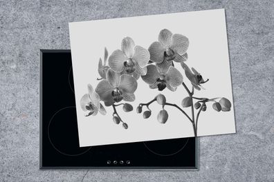 Herdabdeckplatte - 65x52 cm - Orchideen auf grauem Hintergrund - schwarz und weiß