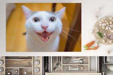 Herdabdeckplatte - 80x52 cm - Katze - Tier - Weiß