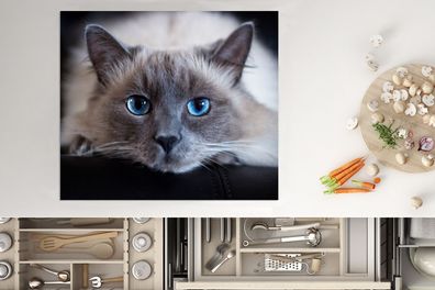 Herdabdeckplatte - 75x52 cm - Katze - Grau - Nahaufnahme