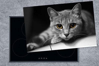 Herdabdeckplatte - 80x52 cm - Katze - Tier - Makro