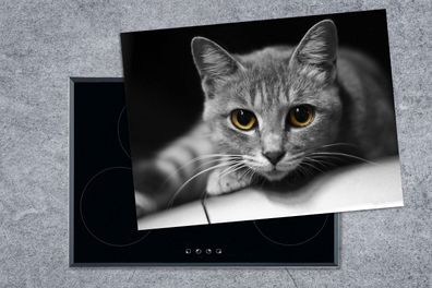 Herdabdeckplatte - 70x52 cm - Katze - Tier - Makro