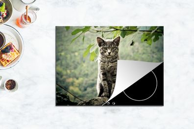 Herdabdeckplatte - 70x52 cm - Katze - Stein - Wald