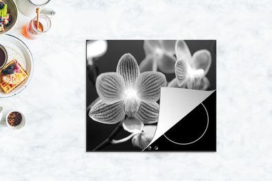 Herdabdeckplatte - 75x52 cm - Orchideenblüte - schwarz und weiß