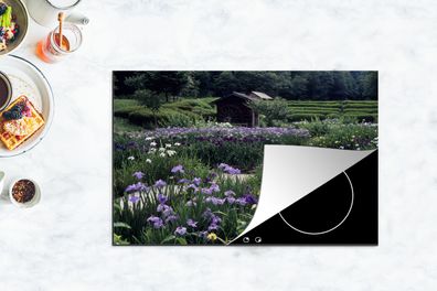 Herdabdeckplatte - 80x52 cm - Japanische Schwertlilienblüten - Garten - Pfad
