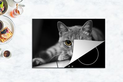 Herdabdeckplatte - 78x52 cm - Katze - Tier - Makro