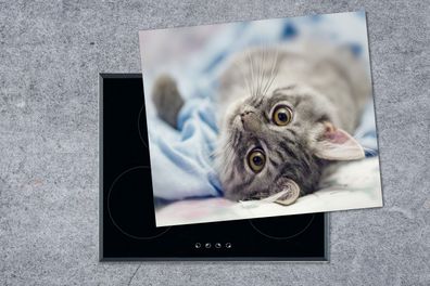Herdabdeckplatte - 75x52 cm - Katze - Tier - Makro