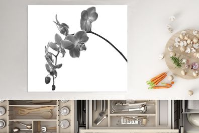 Herdabdeckplatte - 75x52 cm - Orchidee vor weißem Hintergrund - schwarz und weiß