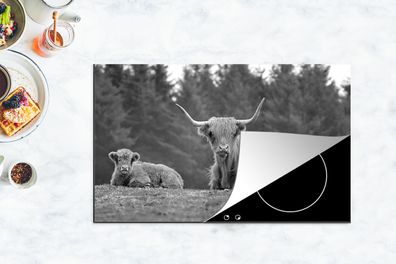 Herdabdeckplatte - 90x52 cm - Liegende schottische Highlander - schwarz und weiß