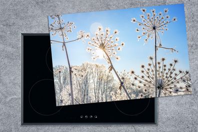 Herdabdeckplatte - 78x52 cm - Pflanzen - Schnee - Stilleben