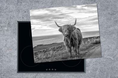 Herdabdeckplatte - 65x52 cm - Schottischer Highlander an der schottischen Küste - sch