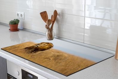 Herdabdeckplatte - 78x52 cm - Löwen - Gras - Afrika