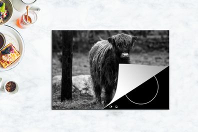 Herdabdeckplatte - 78x52 cm - Junger schottischer Highlander in den Wäldern - schwarz