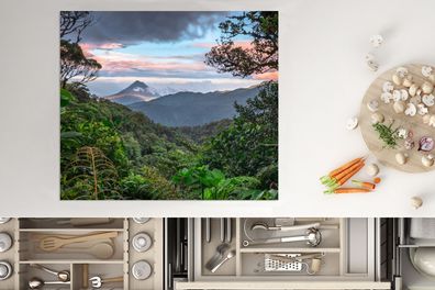 Herdabdeckplatte - 60x52 cm - Dschungel - Gebirge - Costa Rica