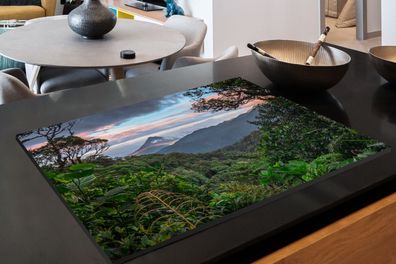 Herdabdeckplatte - 90x52 cm - Dschungel - Gebirge - Costa Rica