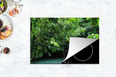 Herdabdeckplatte - 78x52 cm - Natur - Brücke - Türkis