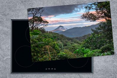 Herdabdeckplatte - 80x52 cm - Dschungel - Gebirge - Costa Rica